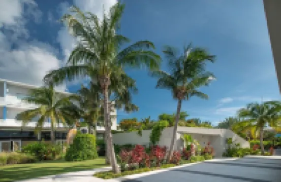 Cayman Luxury Rentals at the Grove