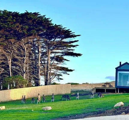 Swell At Cape Bridgewater Hotel di Cape Bridgewater