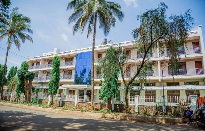 Kilimanjaro Crane Hotel