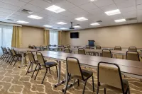 Comfort Suites Kyle Hotels in Kyle