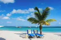 Tryp by Wyndham Aruba Adults Only Hotel - Strand