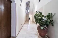 Newhouse Dei Mille