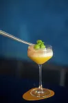 カラー ホテル スタイル、デザイン & グルメ - バー
