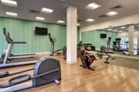 Holiday Inn Express & Suites CHARLESTON NE MT PLEASANT US17 by IHG - Gym