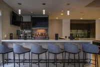 Hilton Garden Inn Durham Southpoint - bar