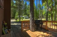 Coziness Cabin - Cute Little Cabin in the Tahoe Woods!