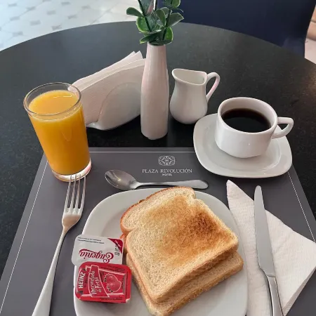 Hotel Plaza Revolución