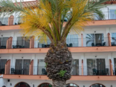 Hotel Comarruga Platja Hotels in El Vendrell