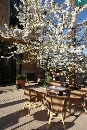 Hotel Patilla Ciudad de Requena Отели рядом с достопримечательностью «Bodega Vera de Estenas»