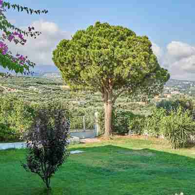 Apollon Hotel Apartments Hotel Exterior