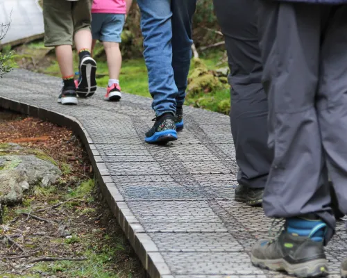 Peppers Cradle Mountain Lodge Photos