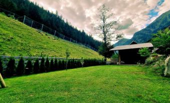 Holiday Home Muhr Near Katschberg Ski Area