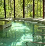 Les Pyrénées - le Grand Hôtel & le Château - Hot Springs