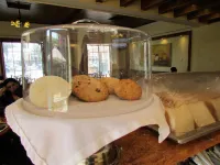 Best Western Hotel Posada Del Rio Express - breakfast