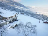Chalets & Apartments Wachterhof - Wifi