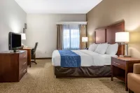 Comfort Inn Downtown - University Area Hôtels à : Kalamazoo