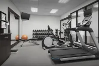 Hilton Garden Inn Denver/Highlands Ranch - Gym