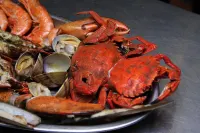 帕拉西奧水晶飯店 - 海滩