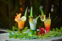 Hotel Fleur d'Epee - Baarit