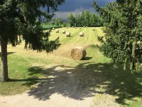 B&B Il Fienile Hôtels à : Montichiari