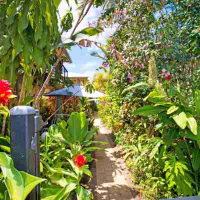 Mission Reef Resort Hotel Exterior