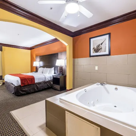 Comfort Suites Lake Jackson Clute