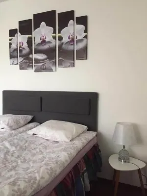 Kotiyksiö Center Hotels in 