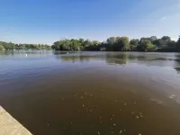 Langley Haven - 3 Br House