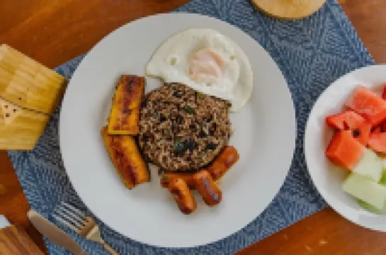 Glamping Tortuga Verde