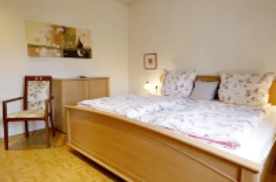 Relaxation in the middle of the vineyards