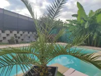 Rent fully equipped gite 20 square meters with terrace and shared pool access
