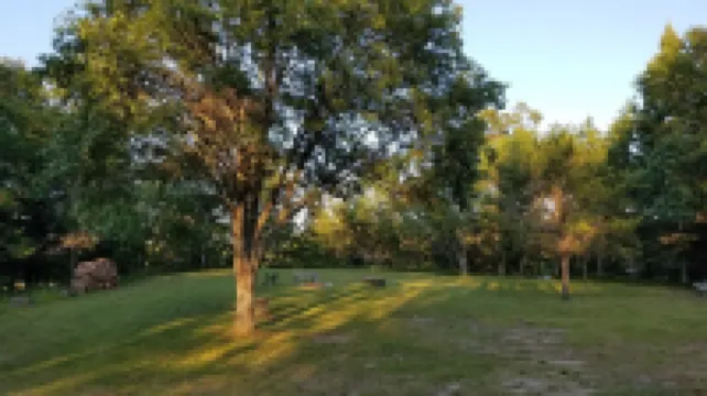 Spacious Four Bedroom Cabin for Northern Escape