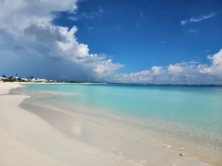 Luxury Vacation! The Best of the Best! Ocean Villa Treasure Cay, Bahamas