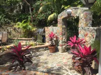 Villa L'Agave - Your Tropical Rendezvous Paradise Hotels in 