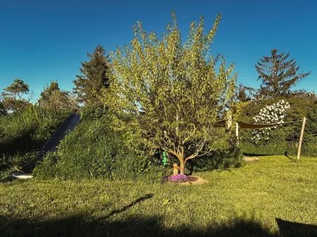 Wohnung mit Wintergarten im Ferienhaus Makrele von 1877 Отели в г. Зундхаген
