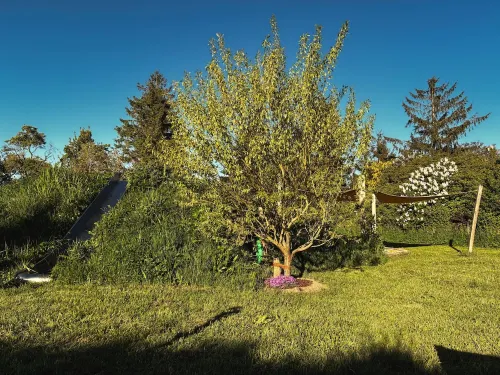 Wohnung mit Wintergarten im Ferienhaus Makrele von 1877