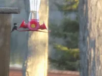 Twin Bay Resort Lakeside Cabin 1