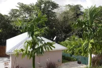 A unique and authentic experience at villa KAZ TI PUNCH