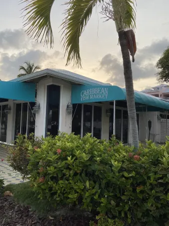 Amazing Beachfront Condo: Stunning Views, Pool, Restaurant, Steps to the Beach!