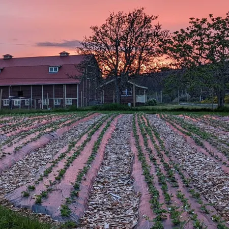 Beautiful beachfront Villa on 80 acres of farmland!