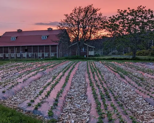 Beautiful beachfront Villa on 80 acres of farmland! 蘇克住宿飯店