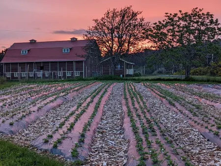 Beautiful beachfront Villa on 80 acres of farmland!