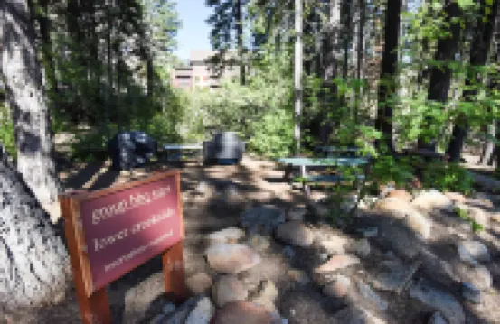 4081 Ski Trails