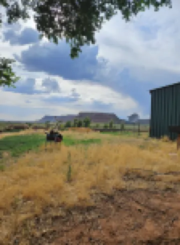 The Woody Cabin