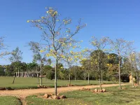 GORGEOUS SITE IN PORTO FELIZ Hotels in Porto Feliz