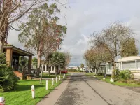 610 Caravan Bognor Regis otelleri