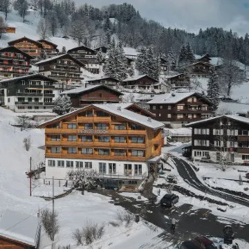 Grindellodge Hotels near Bärgelegg
