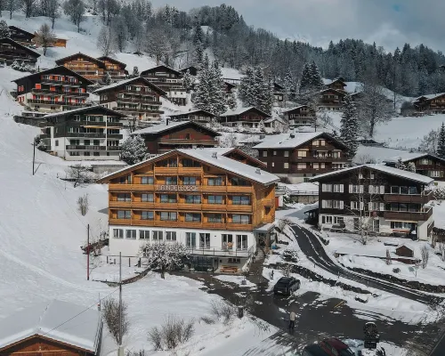 Grindellodge Hotels near Hohwald