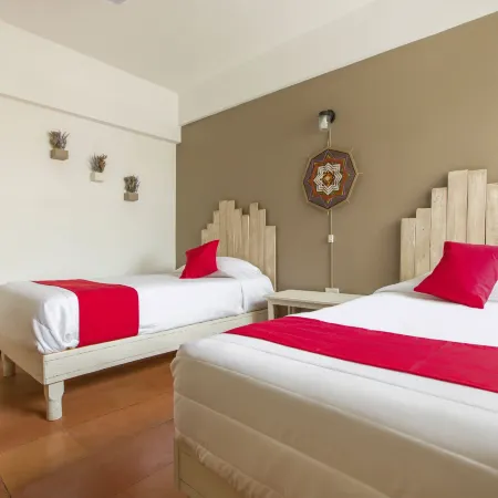 Hotel Allende 104