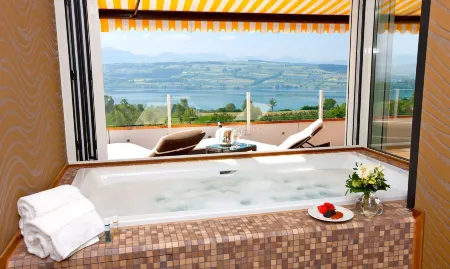 Hotel Restaurant Vogelsang Отели в г. Оберкирх